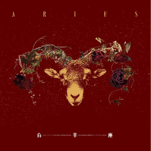 中文字幕AV久久激情亚洲精品
