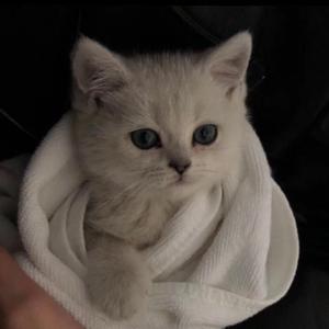 中文字幕AV久久激情亚洲精品
