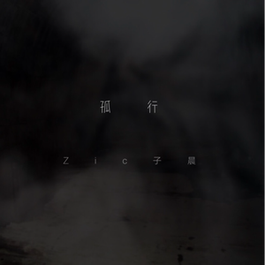 中文字幕AV久久激情亚洲精品
